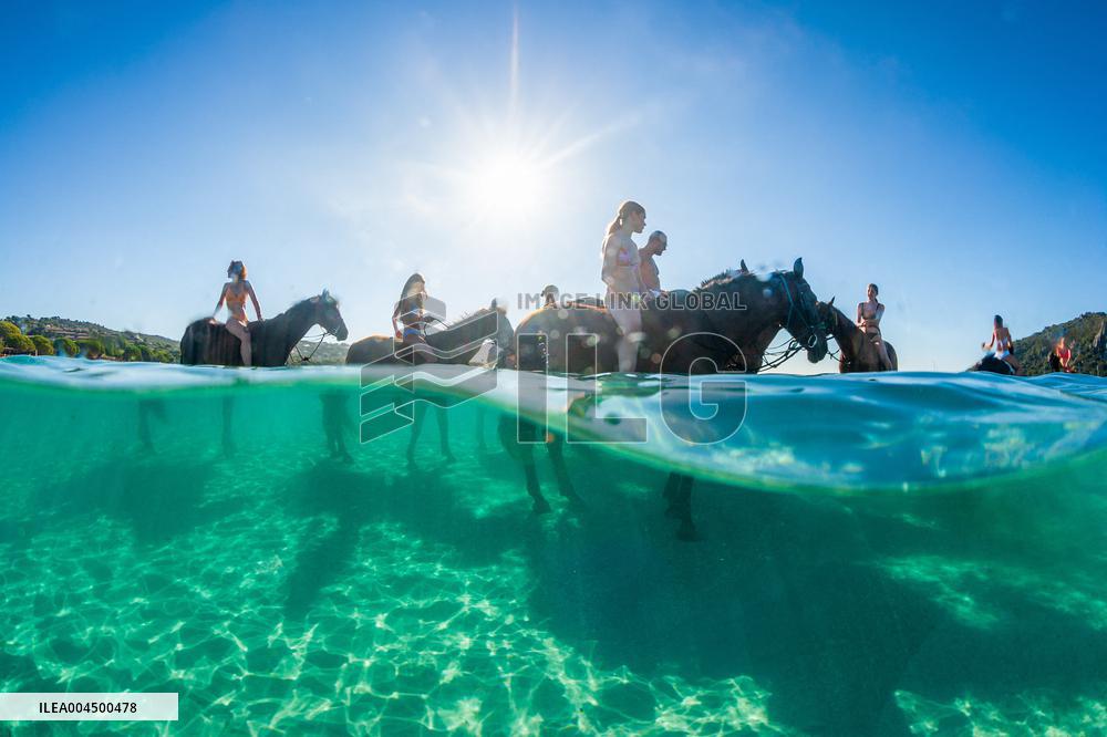 Illustration - Summer Activities