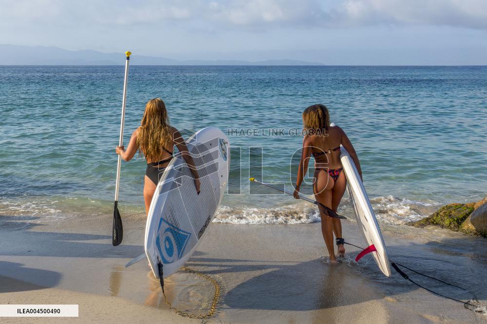 Illustration - Summer Activities