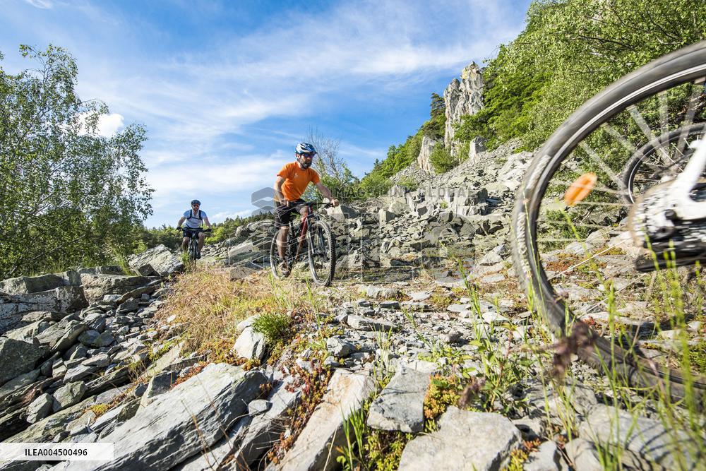 Illustration - Summer Activities