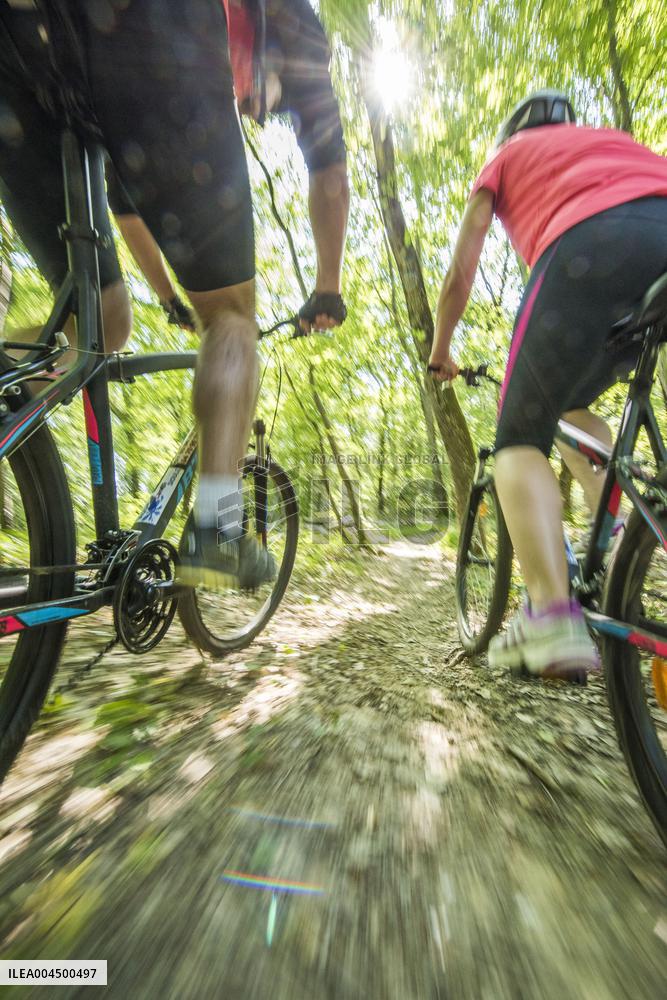 Illustration - Summer Activities