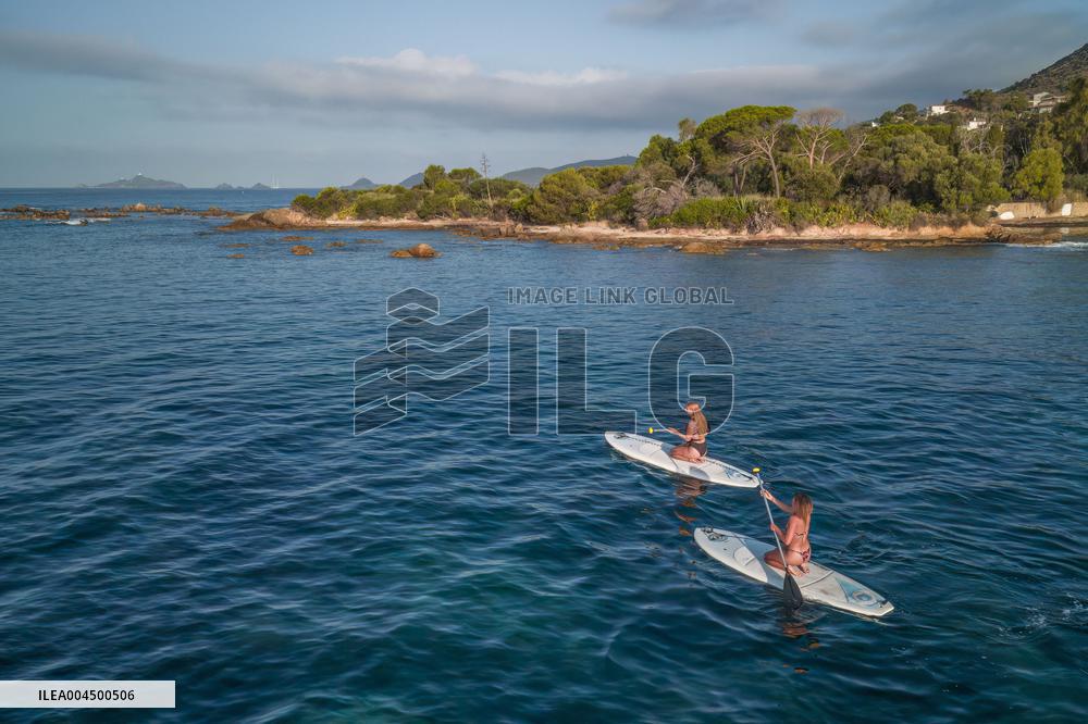 Illustration - Summer Activities