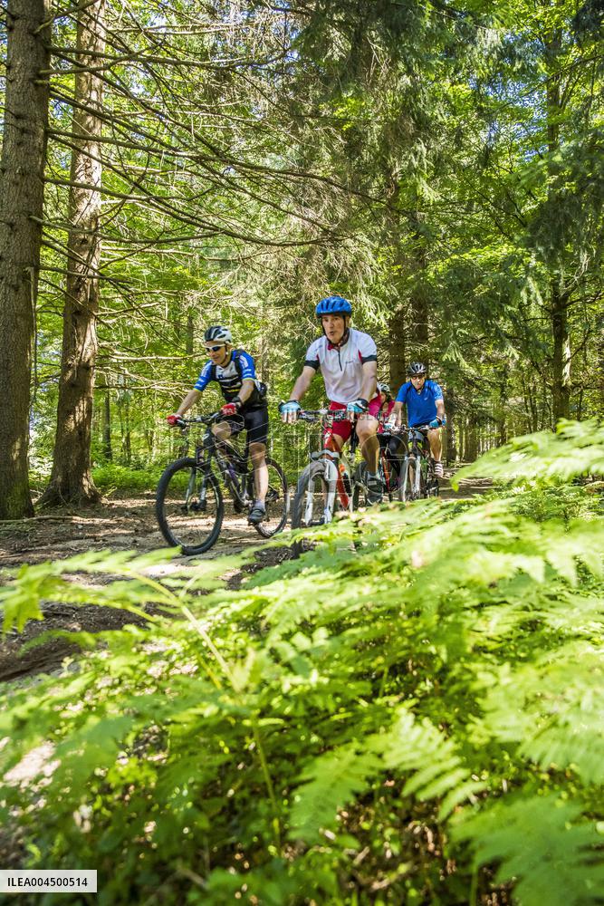 Illustration - Summer Activities