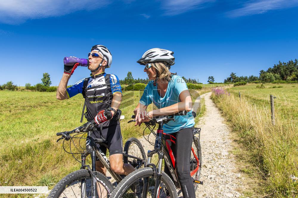 Illustration - Summer Activities