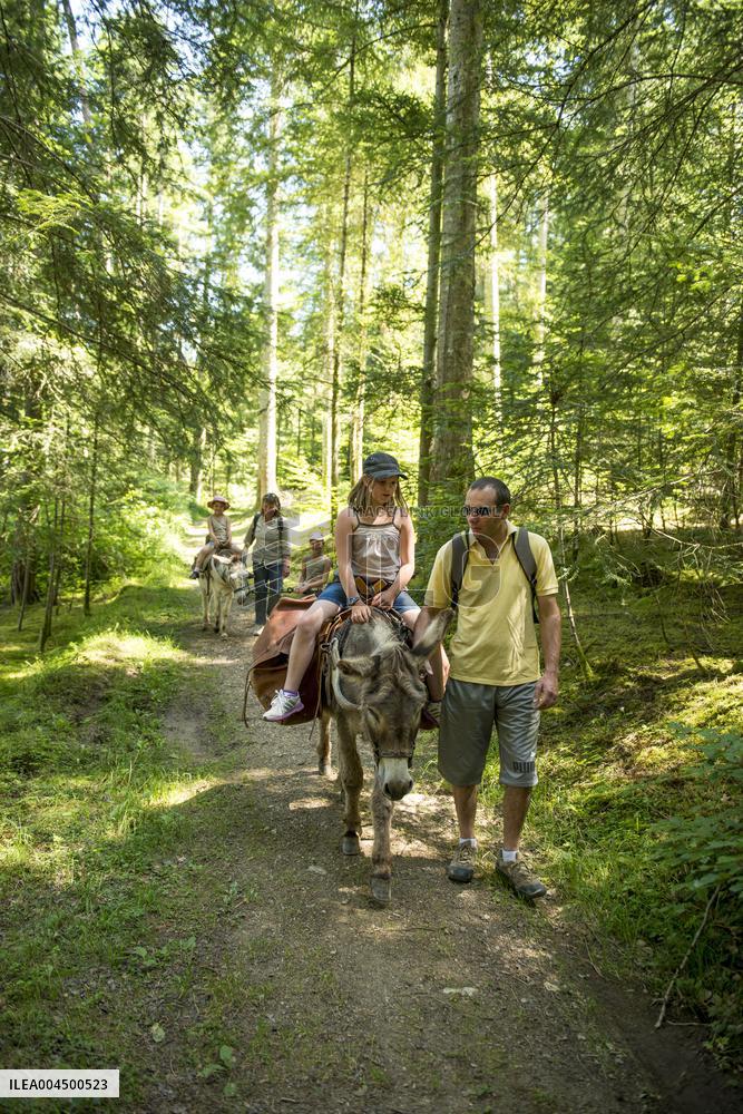 Illustration - Summer Activities