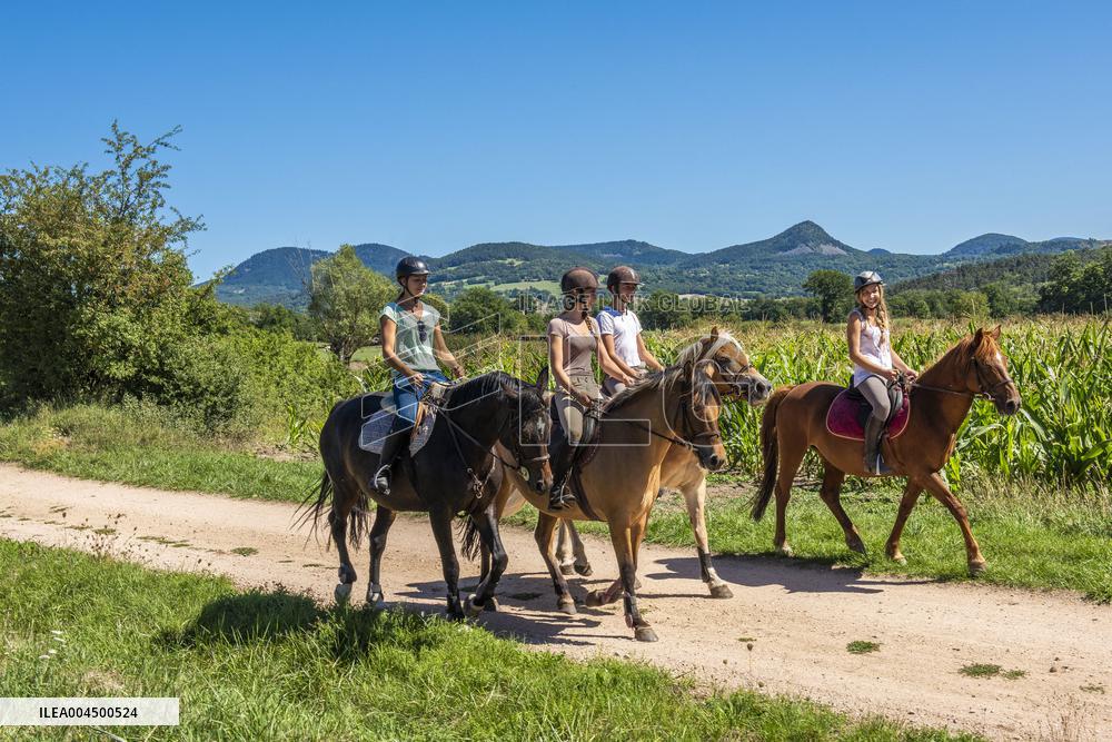 Illustration - Summer Activities