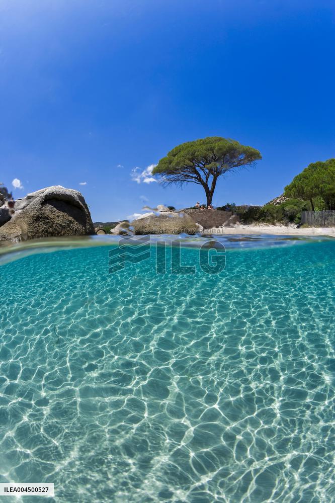 Illustration - Summer Activities