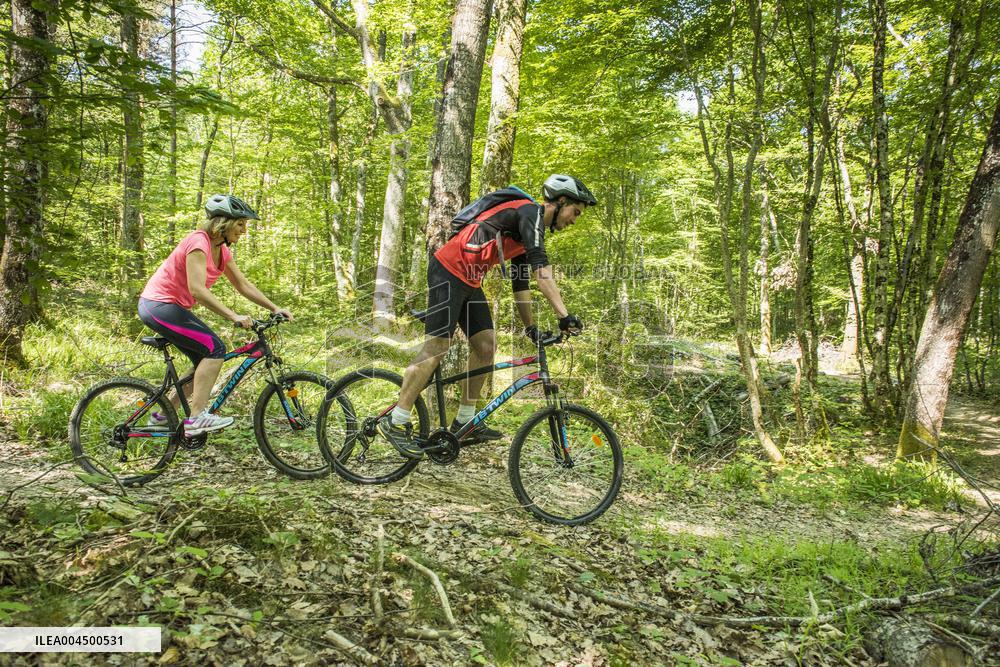 Illustration - Summer Activities