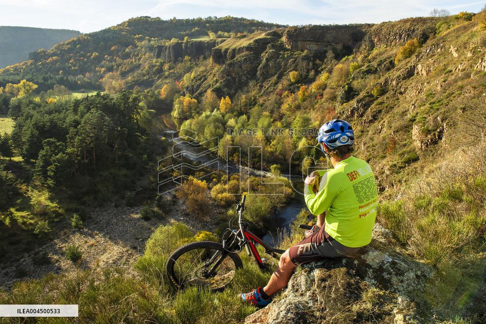 Illustration - Summer Activities