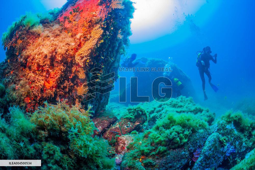 Illustration - Summer Activities