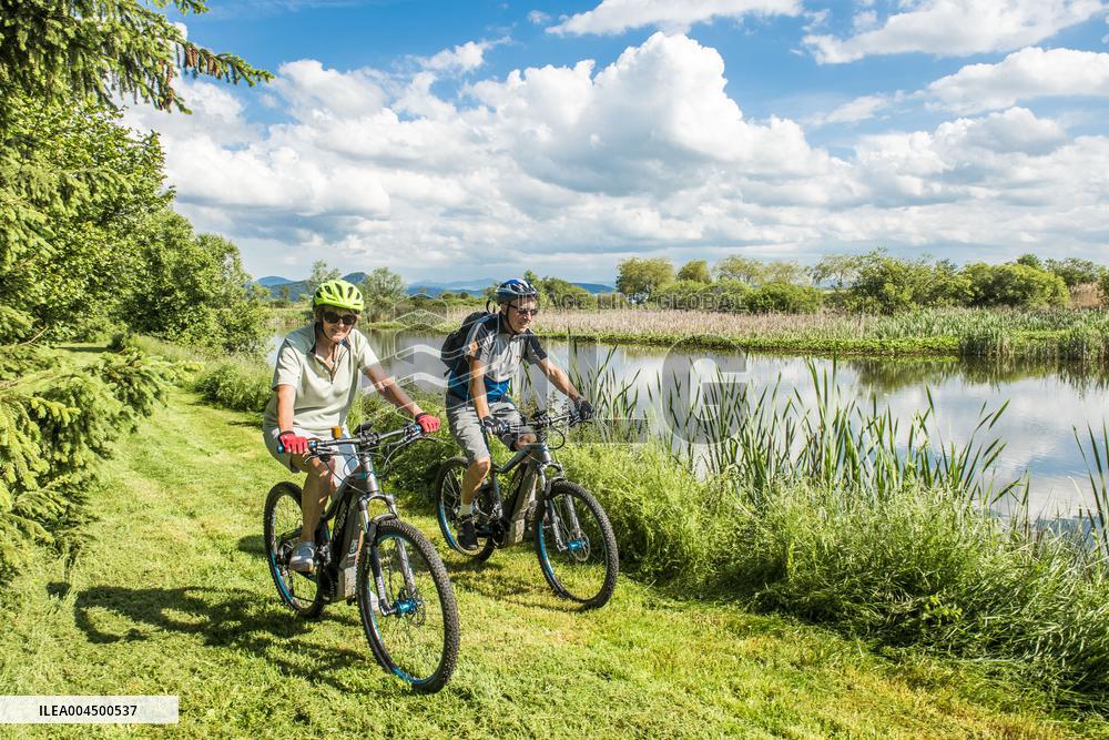 Illustration - Summer Activities