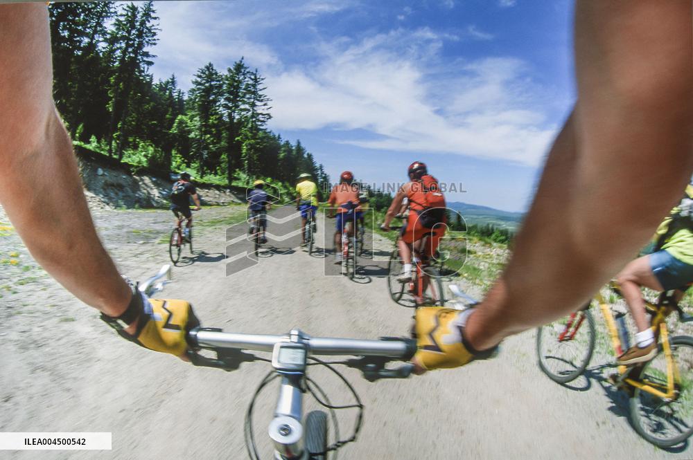 Illustration - Summer Activities