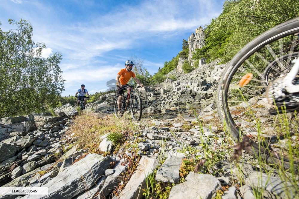 Illustration - Summer Activities