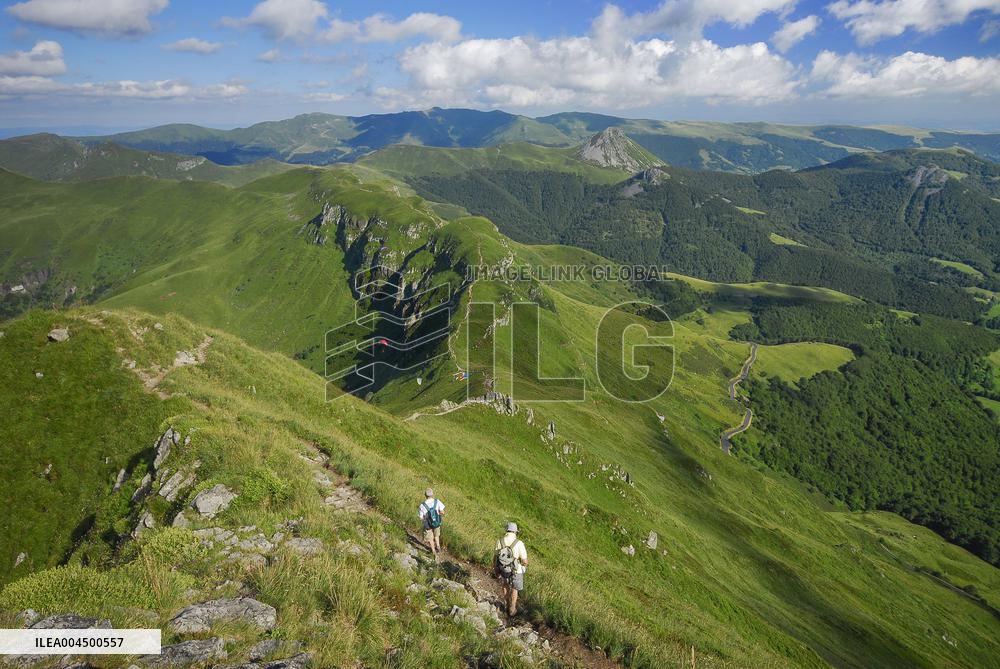 Illustration - Summer Activities