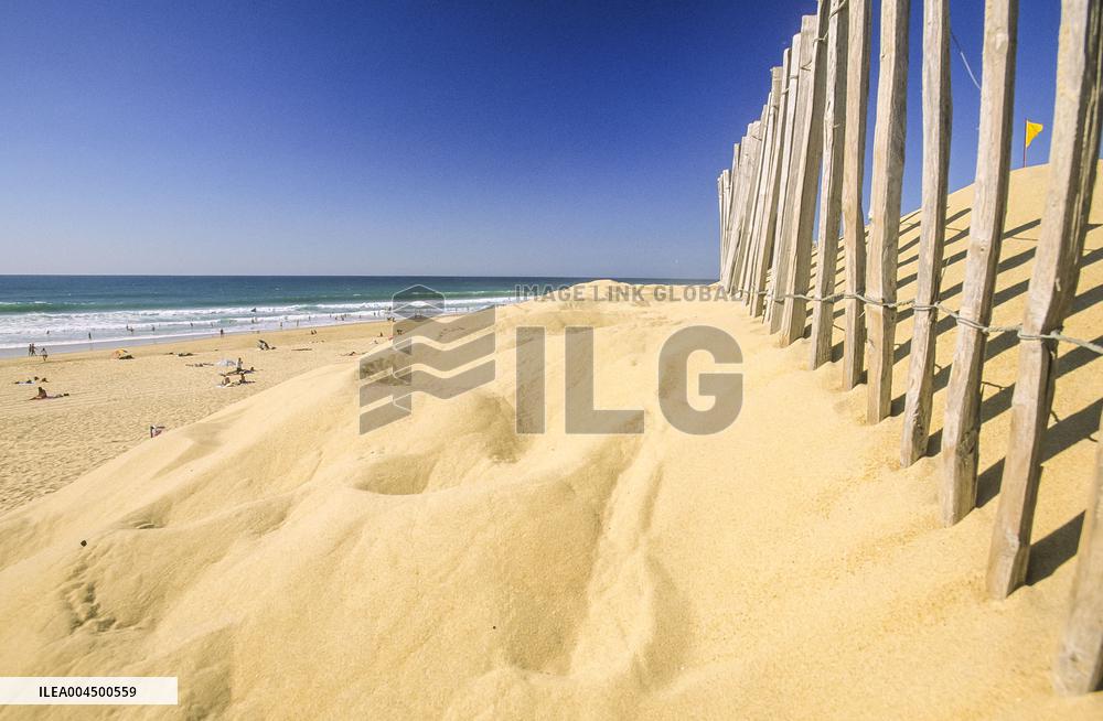 Illustration - Summer Activities