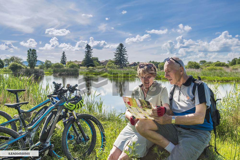 Illustration - Summer Activities