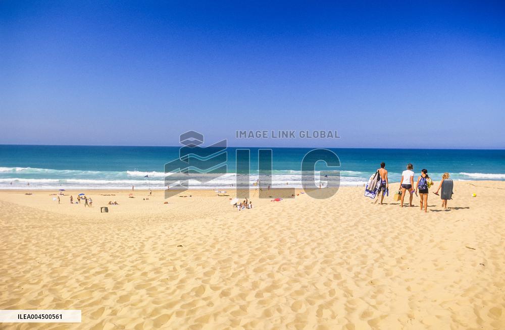 Illustration - Summer Activities