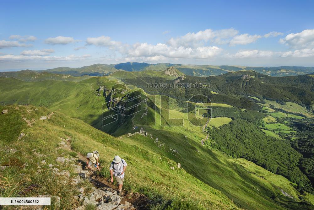 Illustration - Summer Activities