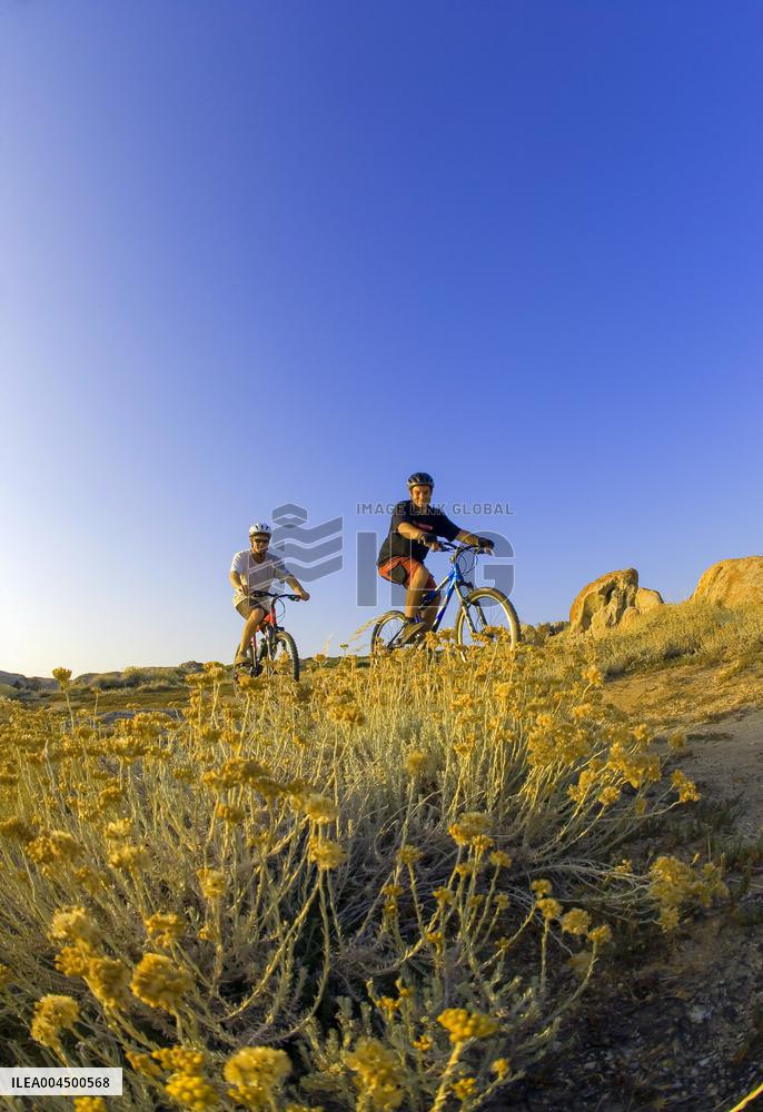 Illustration - Summer Activities