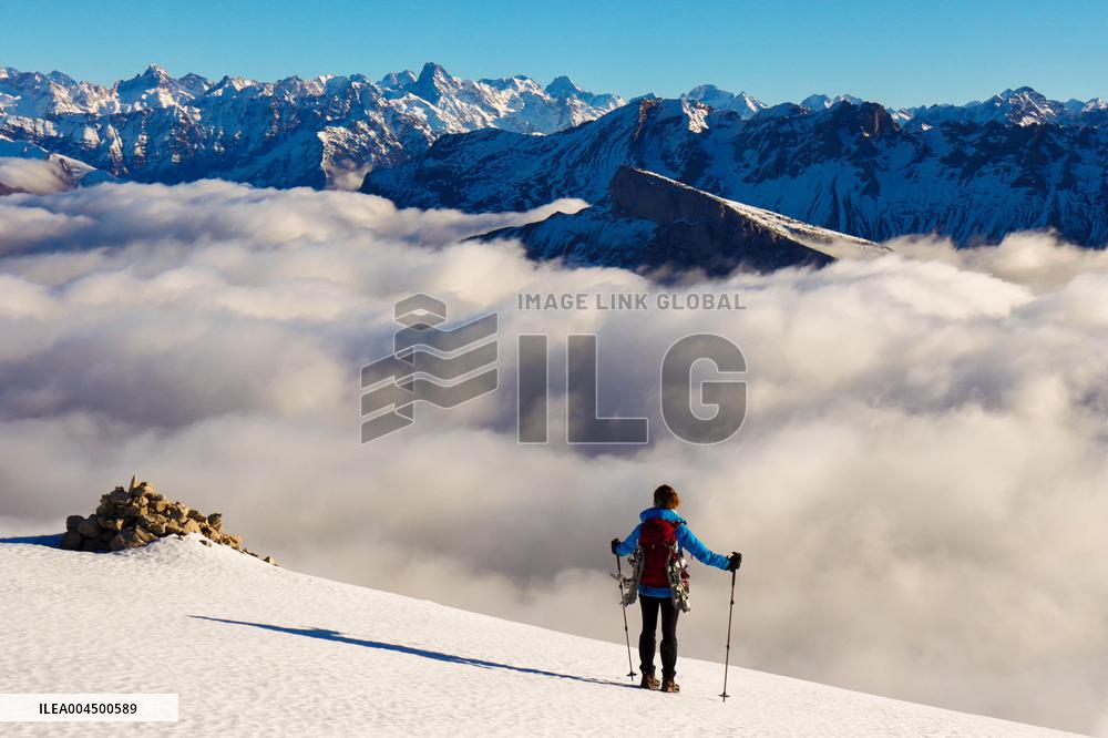 Illustration - Summer Activities