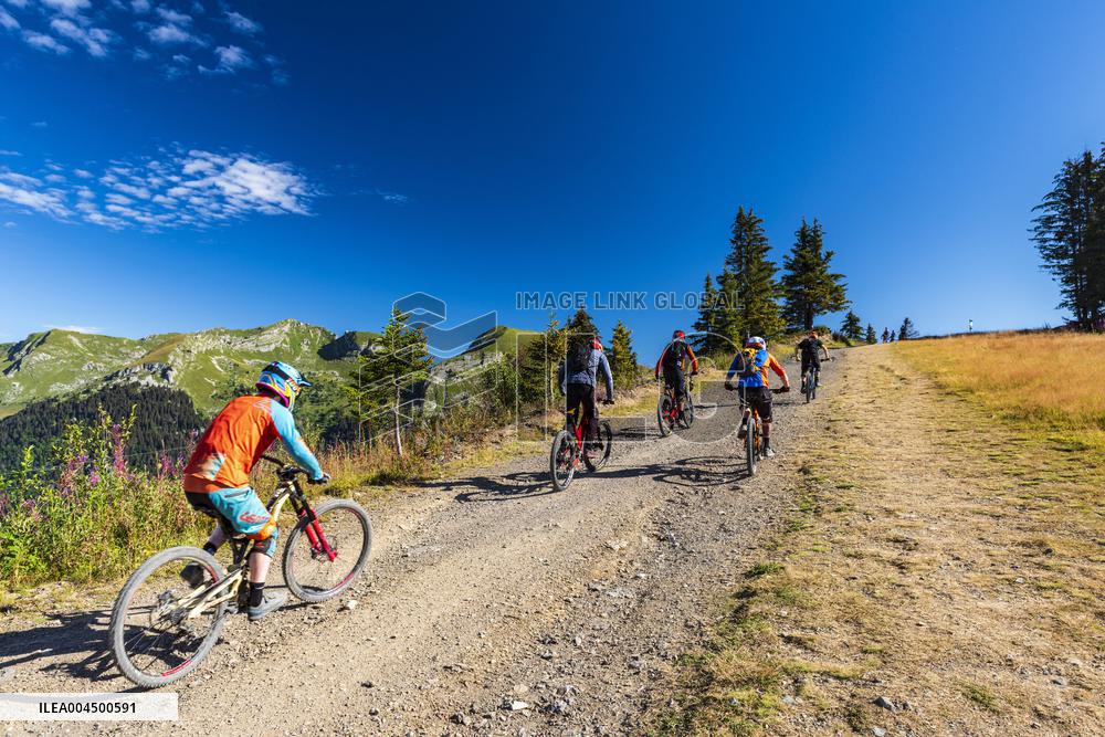 Illustration - Summer Activities