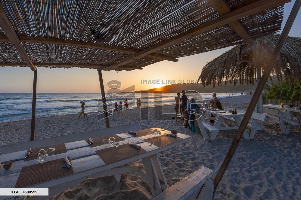 Illustration - Summer Activities