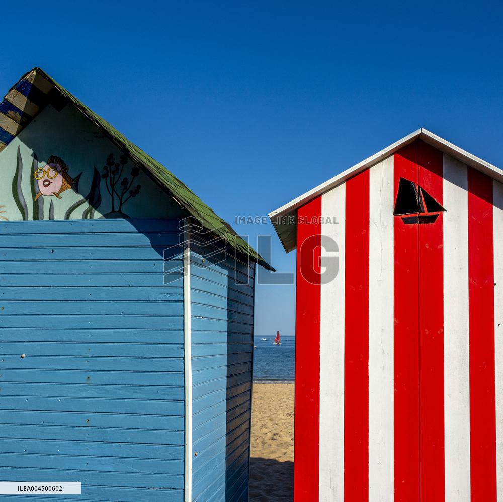 Illustration - Summer Activities