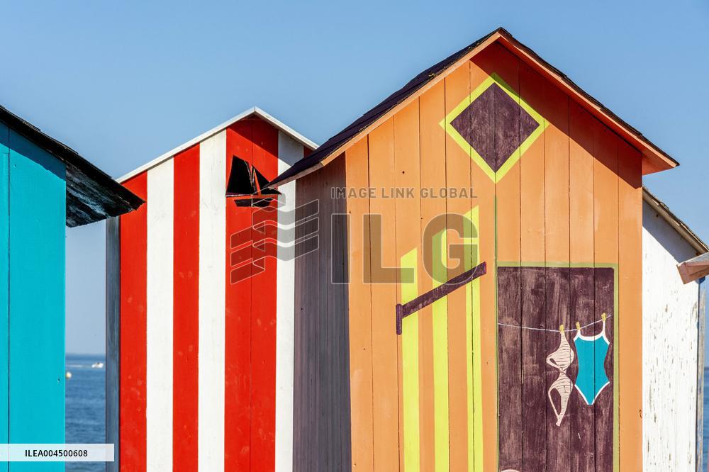 Illustration - Summer Activities