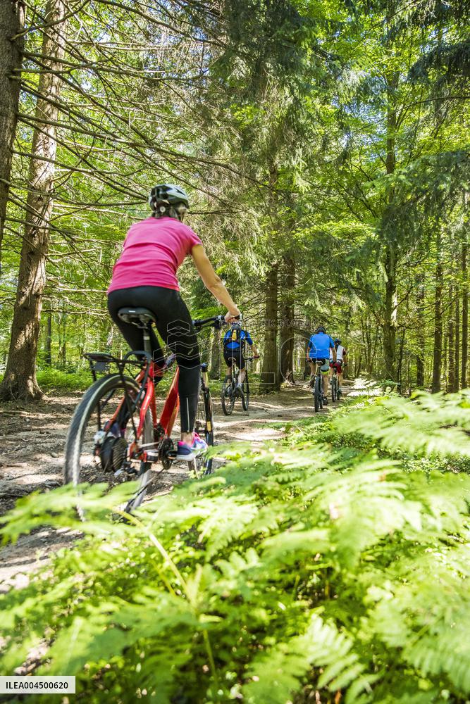 Illustration - Summer Activities