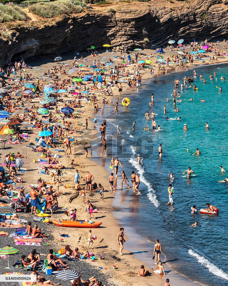 Illustration - Summer Activities