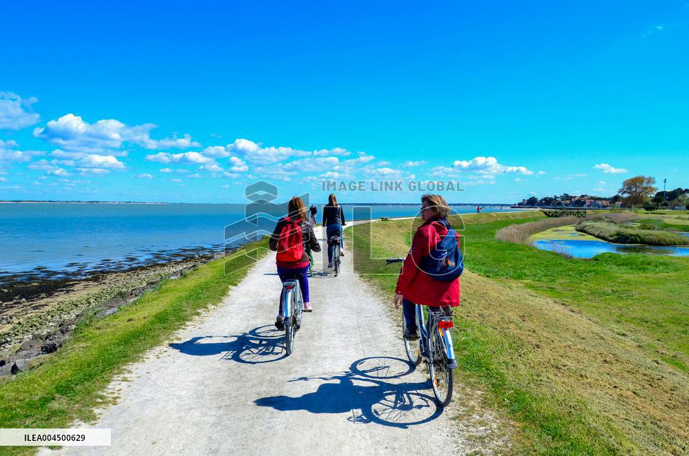 Illustration - Summer Activities