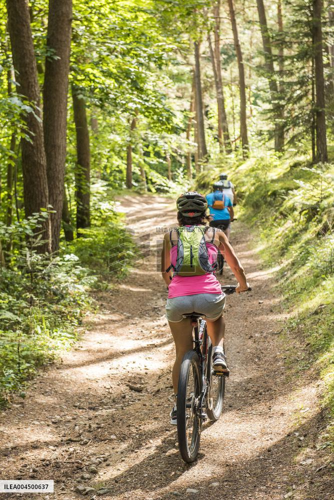 Illustration - Summer Activities