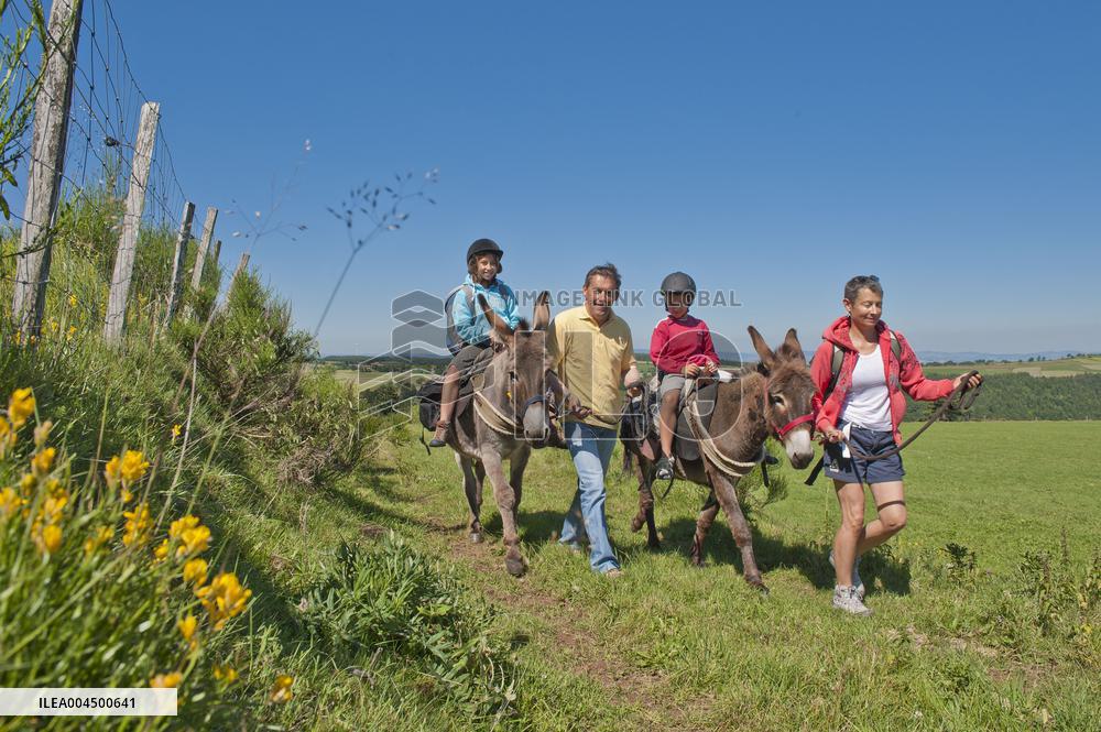 Illustration - Summer Activities