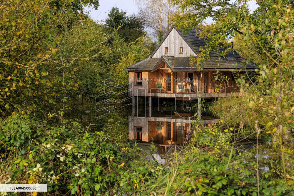 Illustration - Summer Activities