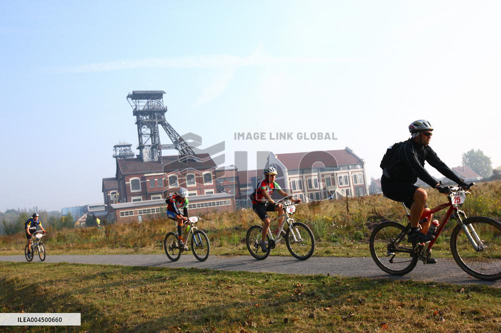 Illustration - Summer Activities