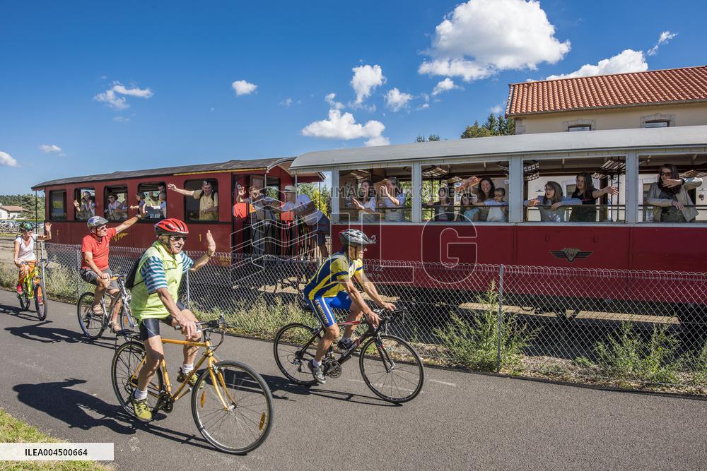 Illustration - Summer Activities