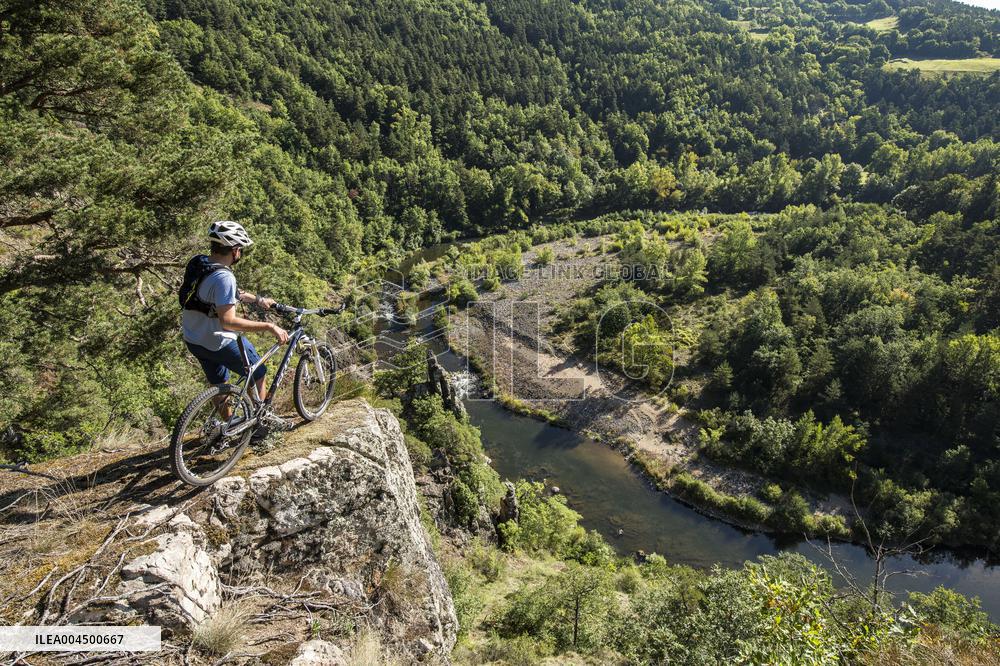 Illustration - Summer Activities