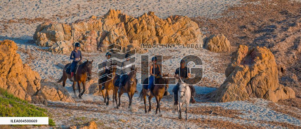 Illustration - Summer Activities