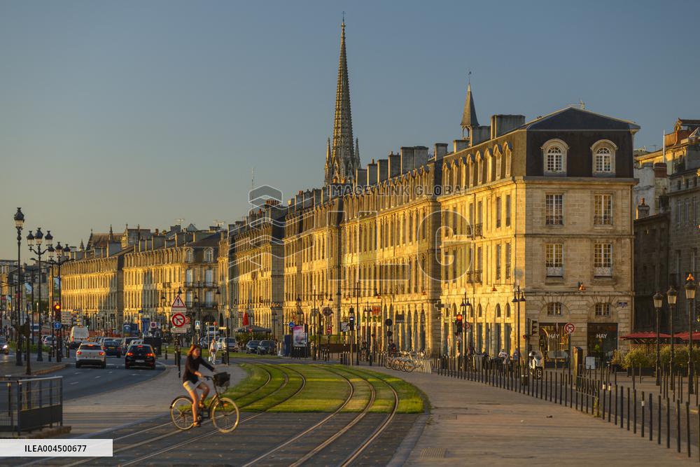 Illustration - Summer Activities