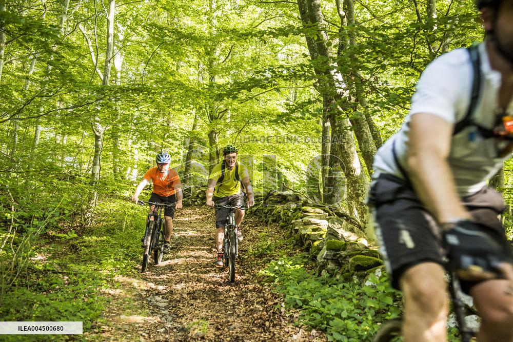 Illustration - Summer Activities