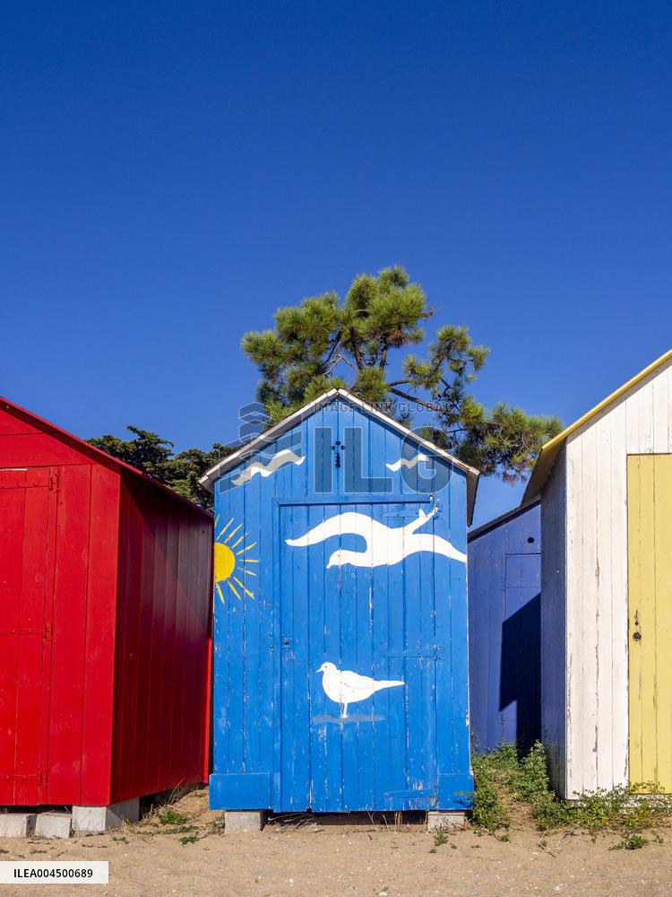 Illustration - Summer Activities