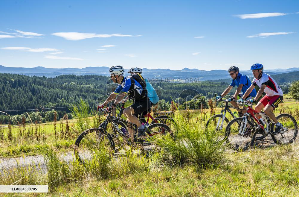 Illustration - Summer Activities