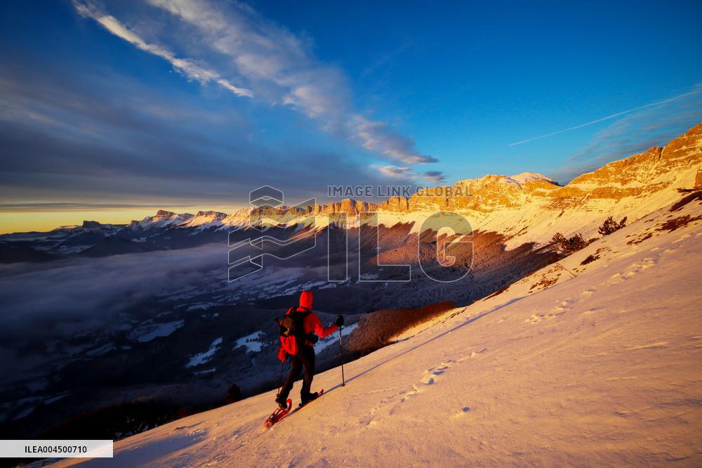 Illustration - Summer Activities