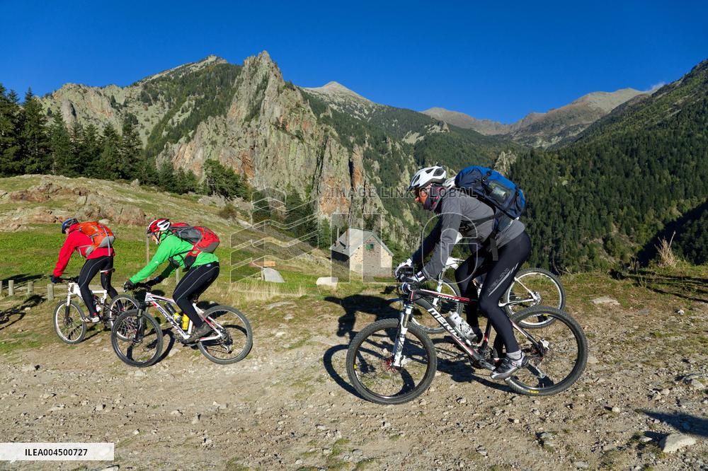 Illustration - Summer Activities