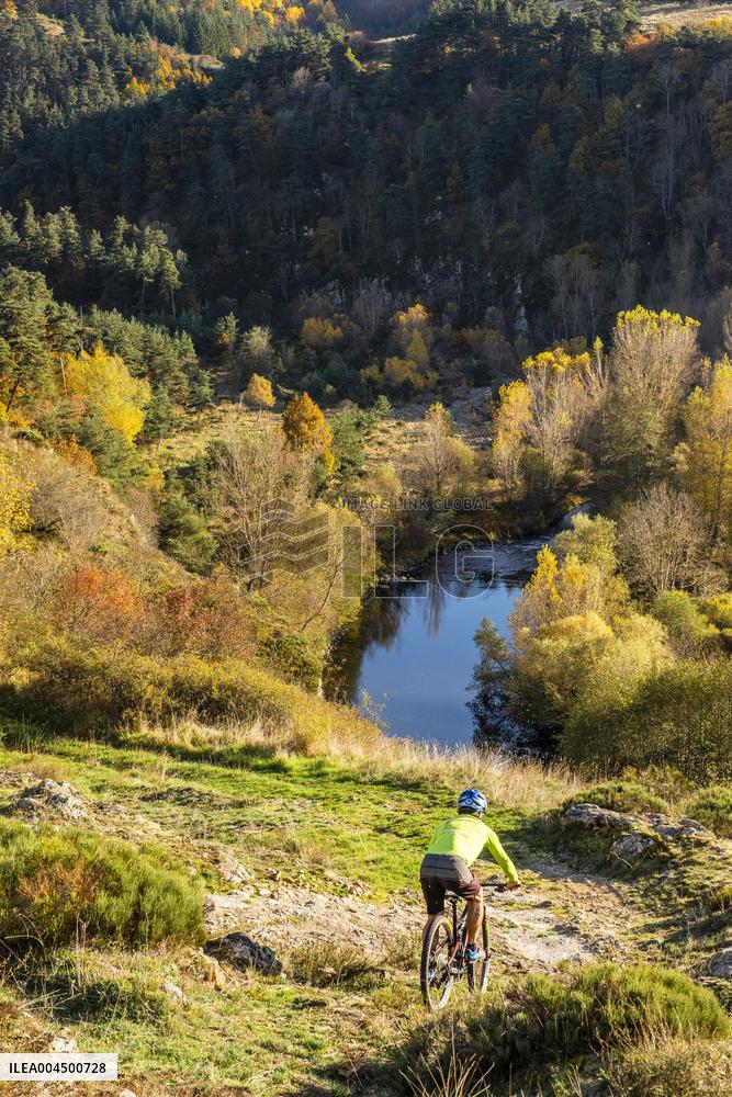 Illustration - Summer Activities