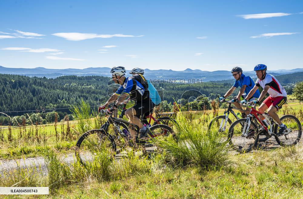 Illustration - Summer Activities