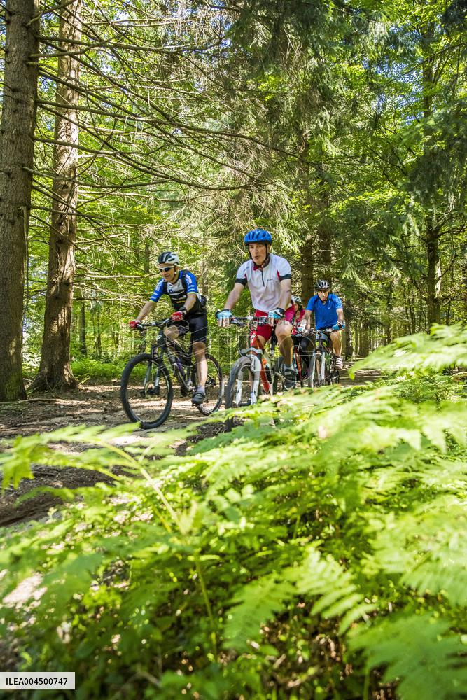 Illustration - Summer Activities