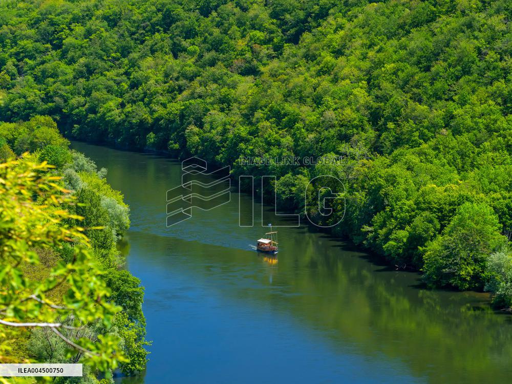 Illustration - Summer Activities