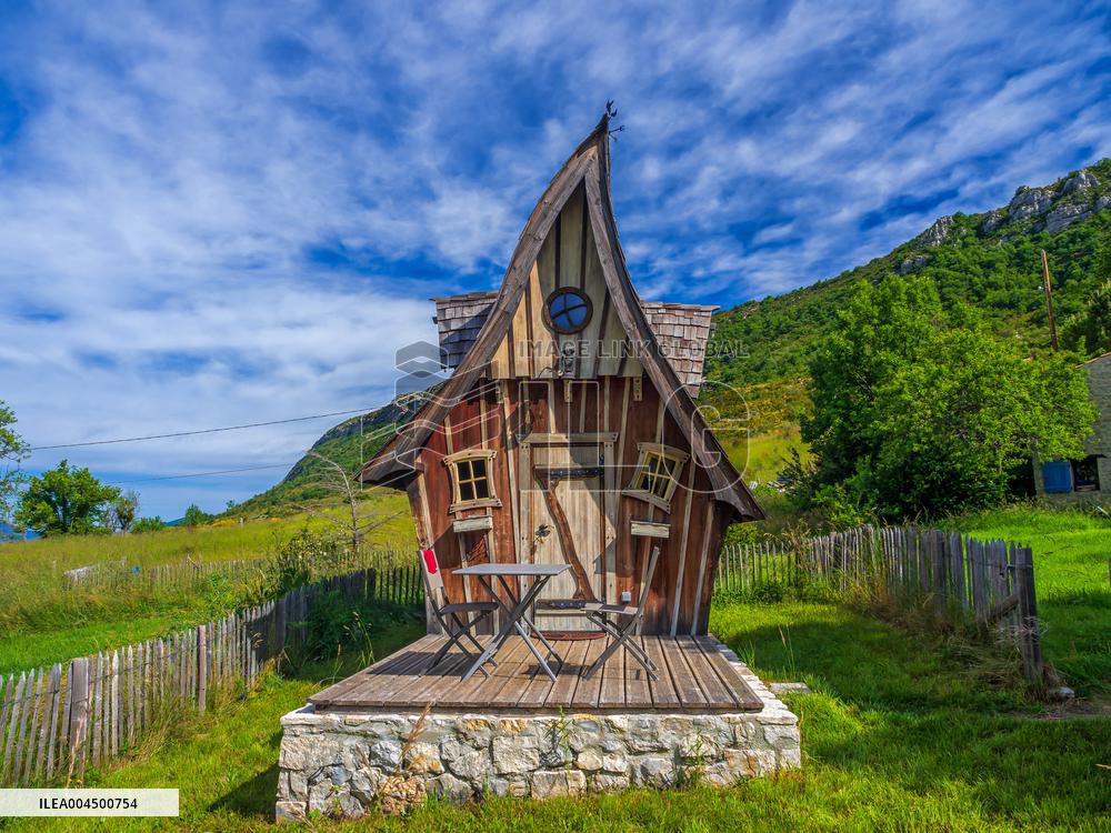 Illustration - Summer Activities