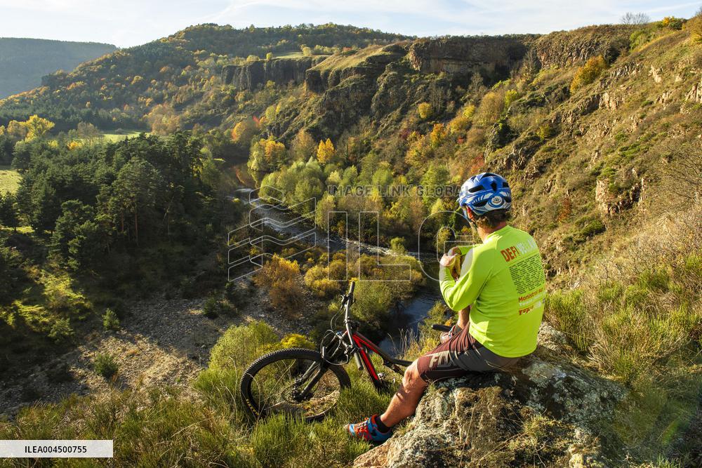 Illustration - Summer Activities