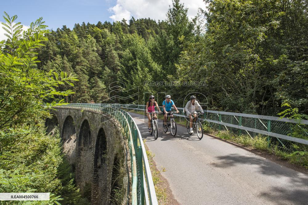 Illustration - Summer Activities